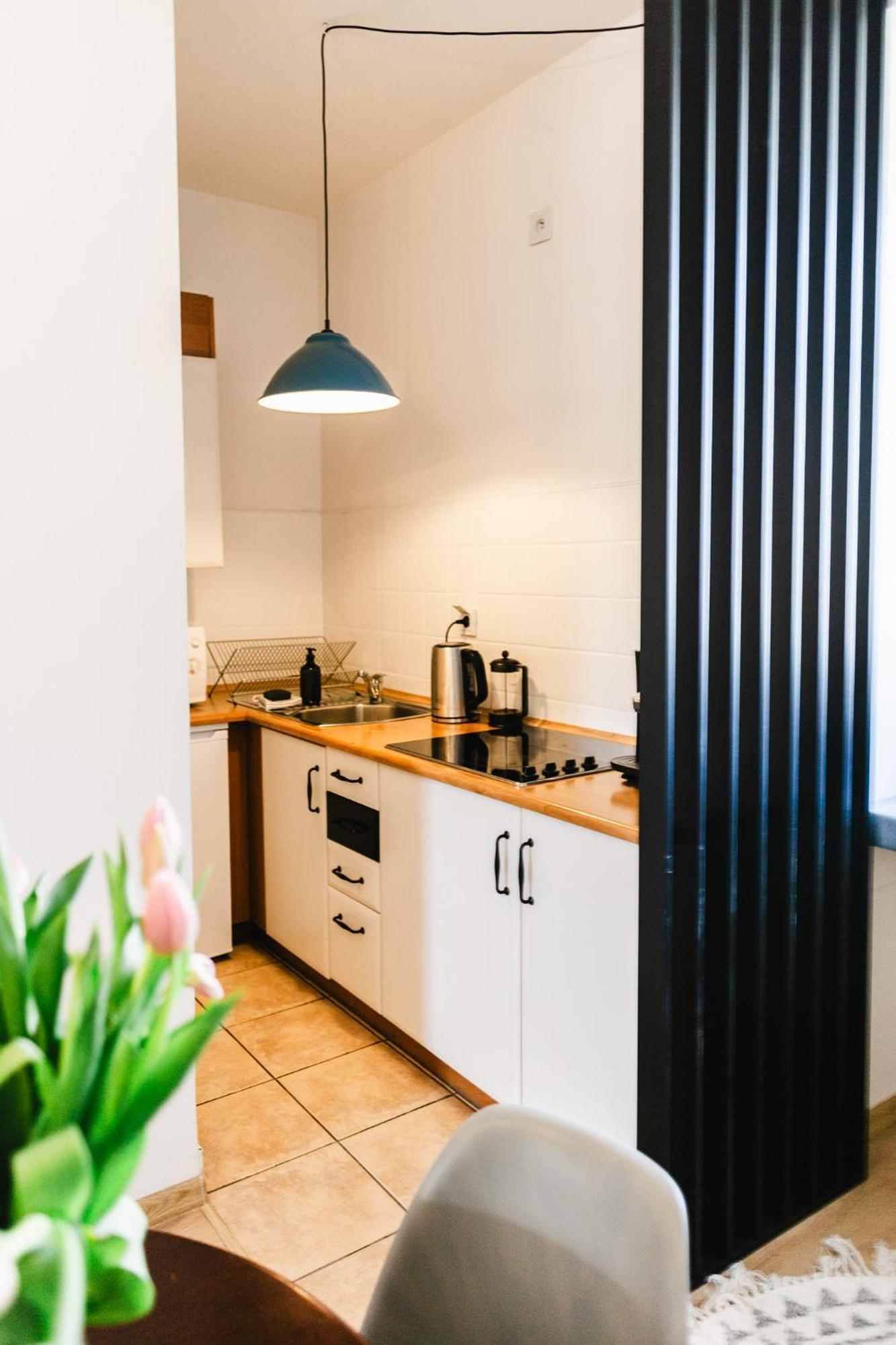 Vilao Apartments- Lazarza Краків